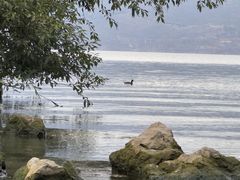 -大理洱海