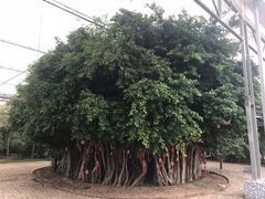 -龙达温泉生态城