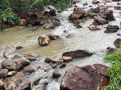 -广州白江湖森林公园