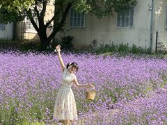 -花博汇(知音花月夜)