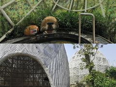 -凤翔首邑温泉度假村