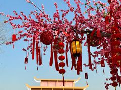 -开封城墙景区