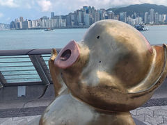 -星光大道