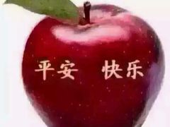 -四姐妹东北饺子(沙尾路店)
