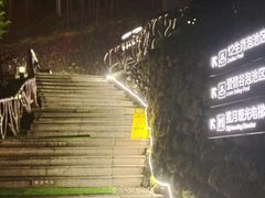 -宜春明月山维景国际温泉度假酒店