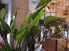-The Rug Cafe(王府中环店)