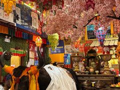 -吉祥圣雪藏餐