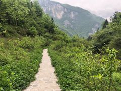 -鹿院坪生态旅游景区