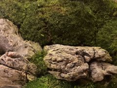 -耳湾躺式采耳SPA馆(保利五月花店)