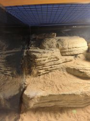 -Zoolung Zoolung动物主题公园(海信广场店)