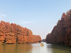 -上海海湾国家森林公园