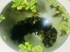 -品记潮汕砂锅粥(湖东路店)