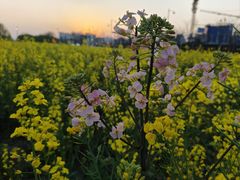 -临平南高铁站(地铁站)