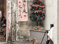 -三溪村