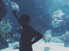 -暹罗海洋世界