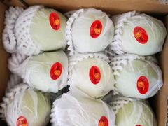 -东方鼎信农副产品交易中心