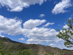 -北京鹫峰国家森林公园