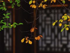 -颐和园