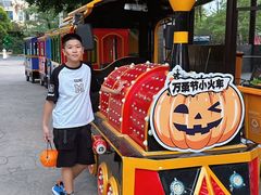 -灵玲国际马戏城