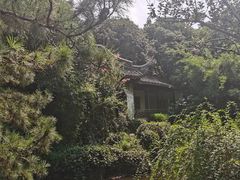 -秋霞圃