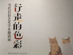 -四川美术馆