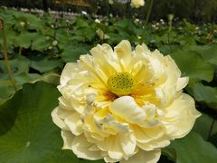 -南戴河国际娱乐中心