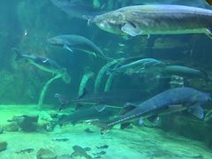 -华夏文旅海洋公园