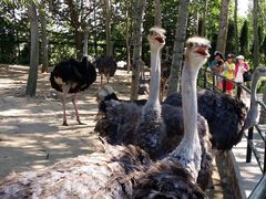 -大连森林动物园