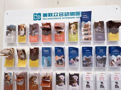 -美联众合爱康动物医院•复杂内科•肿瘤科•牙科•腔镜诊疗中心
