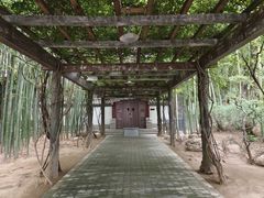 -大慈恩寺(大雁塔)