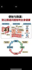 -克丽缇娜