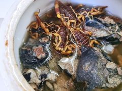 蝎子党参乌鸡汤-国英炖品店(甲子路店)