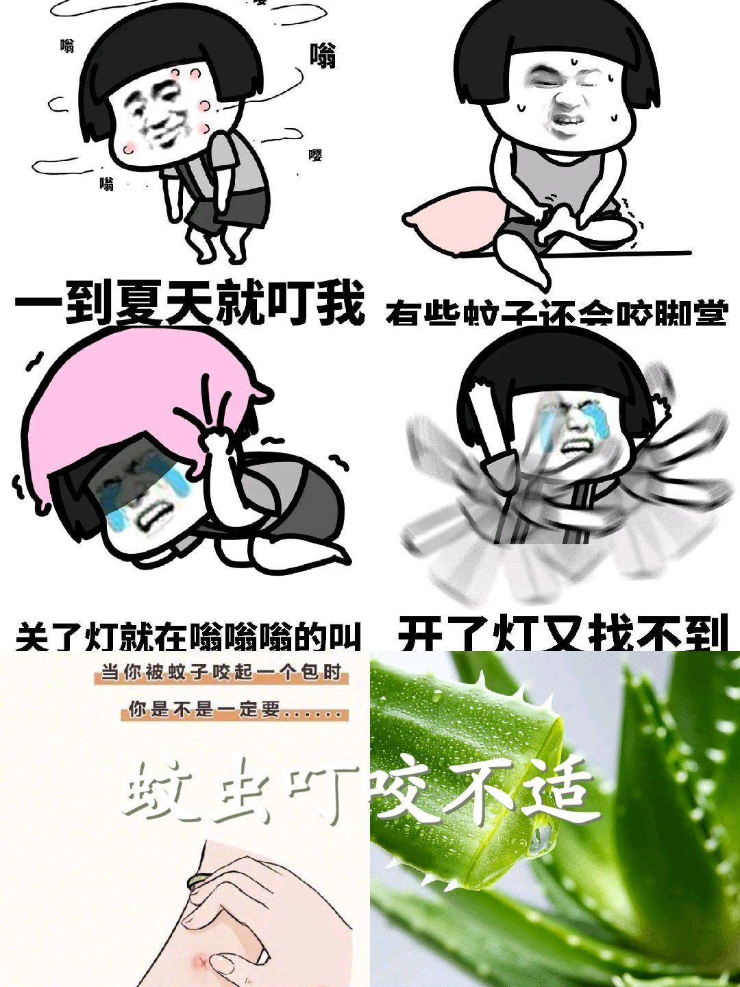 夏天蚊虫叮咬受不了