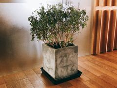 -Bracket Coffee(工体店)