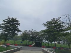 -美的鹭湖森林度假区