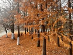 -梁鸿国家湿地公园