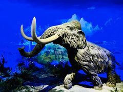 -中国第四纪冰川遗迹陈列馆