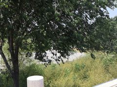 -山东大学(兴隆山校区)