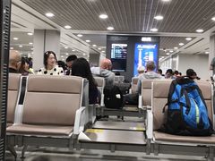 -米兰马尔彭萨国际机场