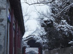 -爱新觉罗皇家博物院