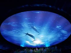 -陕西自然博物馆