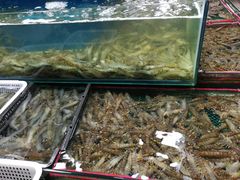 -三旗百汇商品城