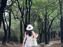 -火炉山森林公园