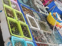 -霞涌市场海鲜摆卖区