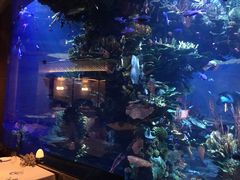 -迪拜帆船酒店海底餐厅