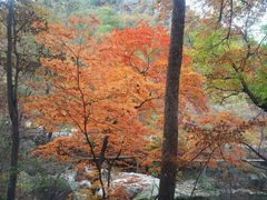 -丹东天桥沟景区