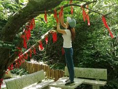 -水磨沟环境自然保护区