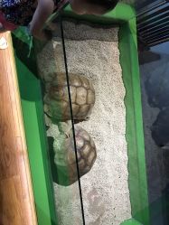 -未来动物城动物主题公园(大悦城店)