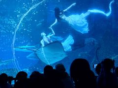 -海合安成都极地海洋公园