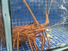-明记海鲜大排档(巽寮湾店)